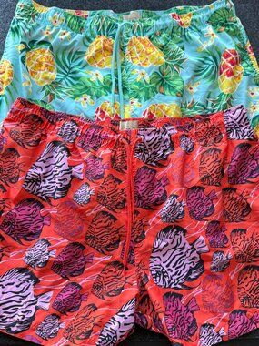 Mens XXL Swim Trunks Bundle 2 Tropical Fish Pineapple Lined Shorts